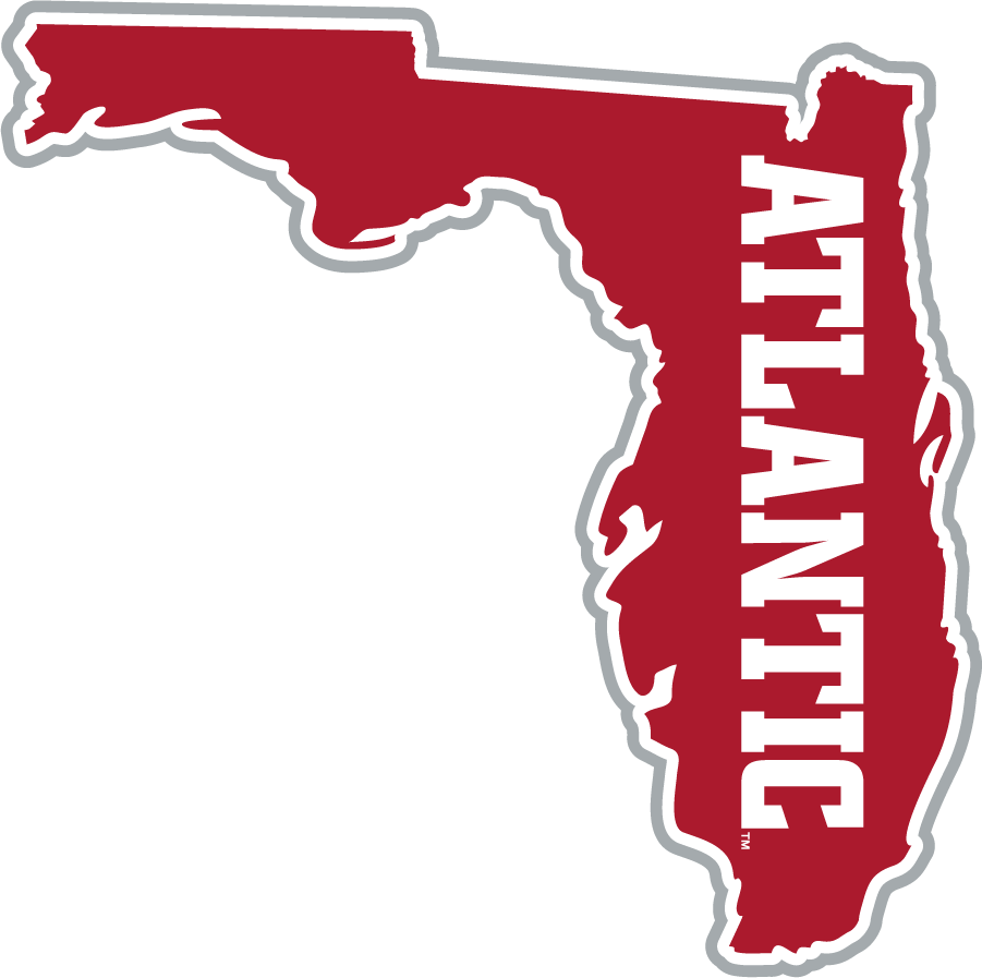 Florida Atlantic Owls 2015-2017 Secondary Logo DIY iron on transfer (heat transfer)